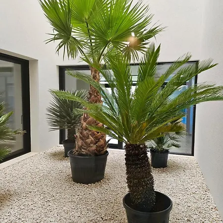 Apartament Baltic Waves Perlowa Międzyzdroje